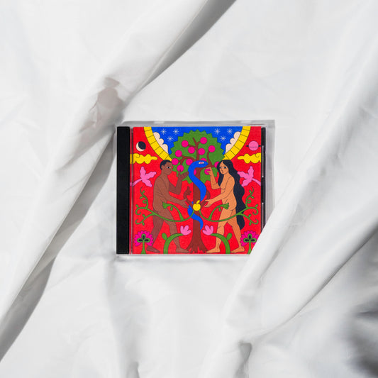 "STRANGERS IN THE DARK" CD